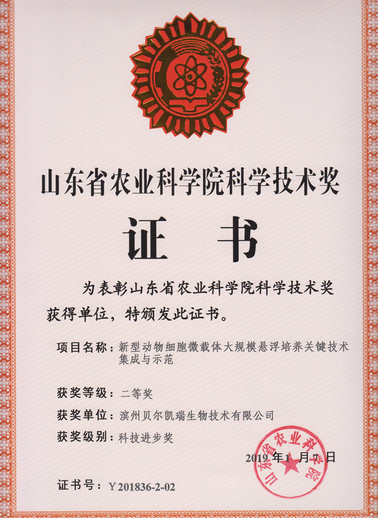 榮譽(yù)資質(zhì)