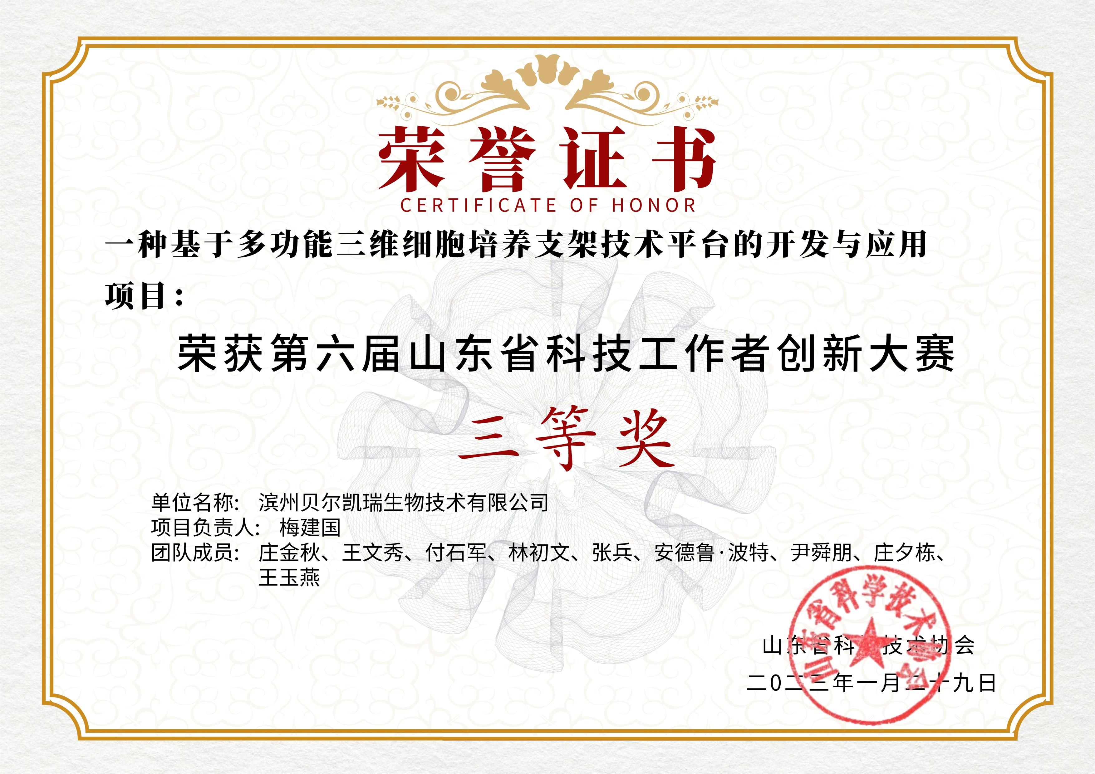 山東省科技創(chuàng)新大賽三等獎