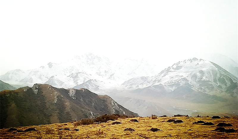 1512606668111875.jpg 1512606668111875.jpg