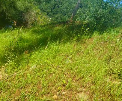柳關(guān)欒盧鉛鋅礦|治理排土“瘡疤”，繪就綠色畫(huà)卷